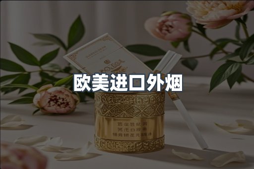 欧美进口外烟